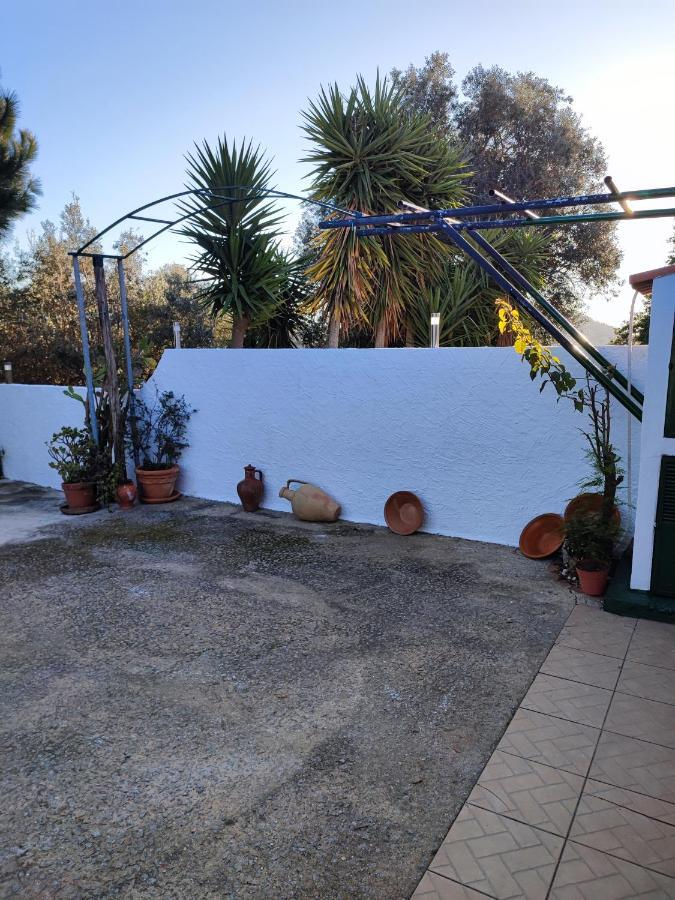 My House - Casa Charme * Monchique