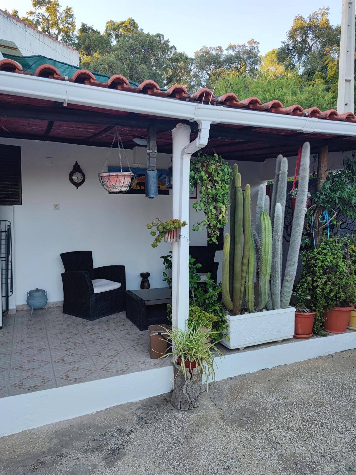 Holiday home My House - Casa Charme Monchique