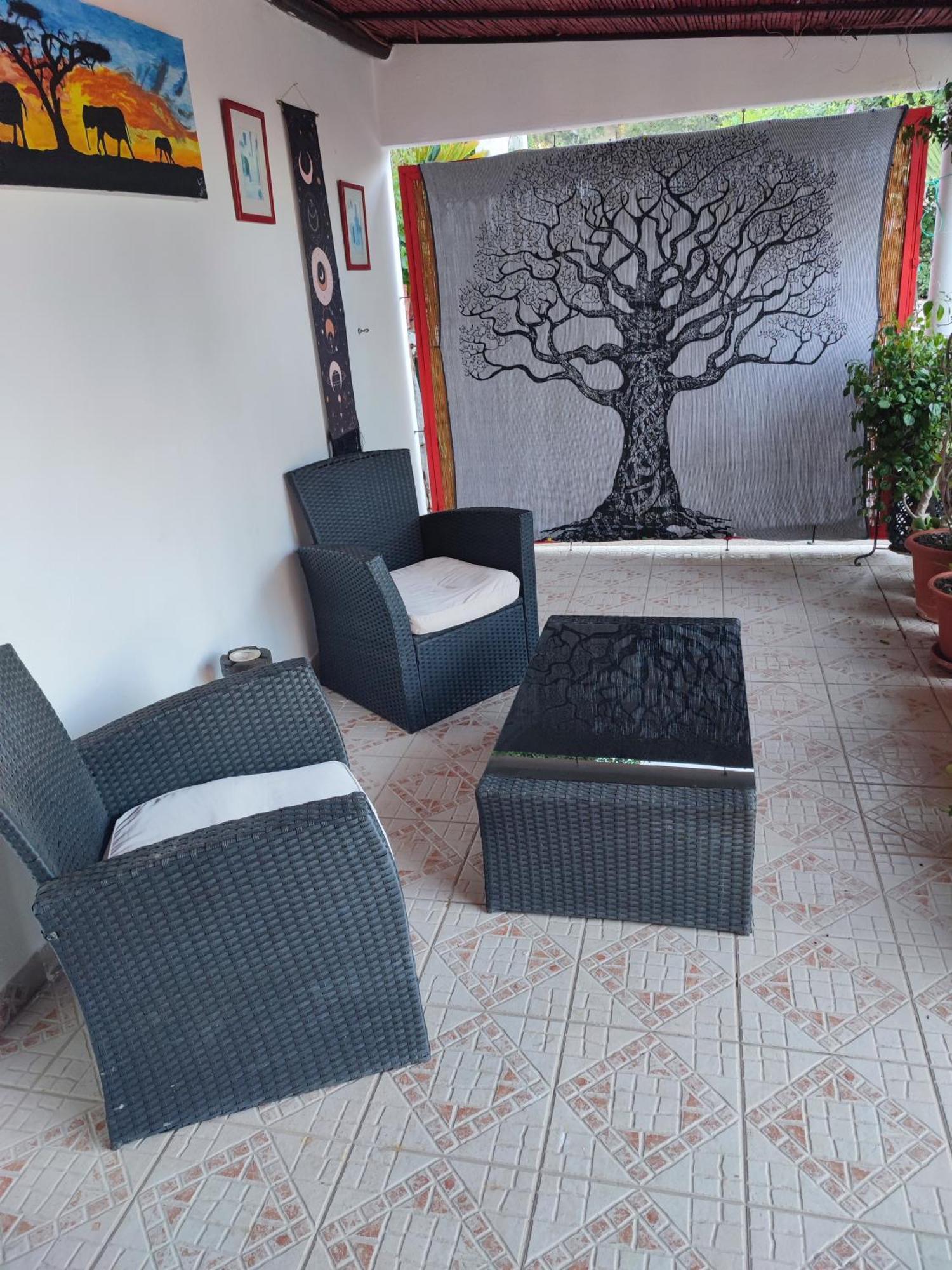 My House - Casa Charme * Monchique