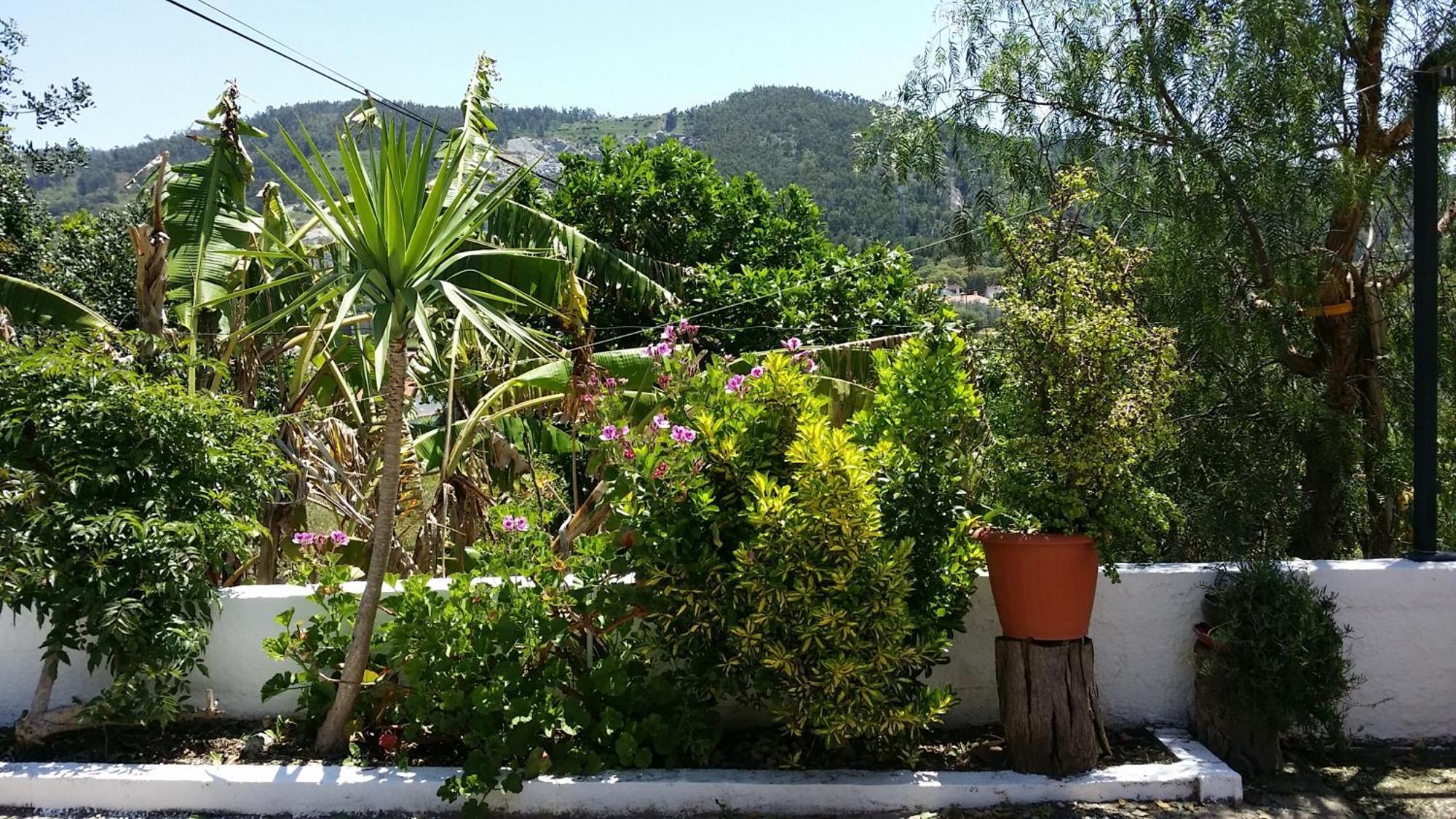 My House - Casa Charme