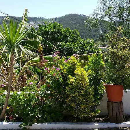 My House - Casa Charme Villa Monchique Exterior photo